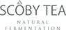 生コンブチャ専門店 | SCOBY TEA<スコビーティー>