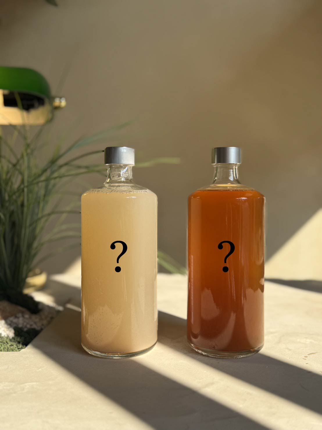 お任せ2本セット - 720ml