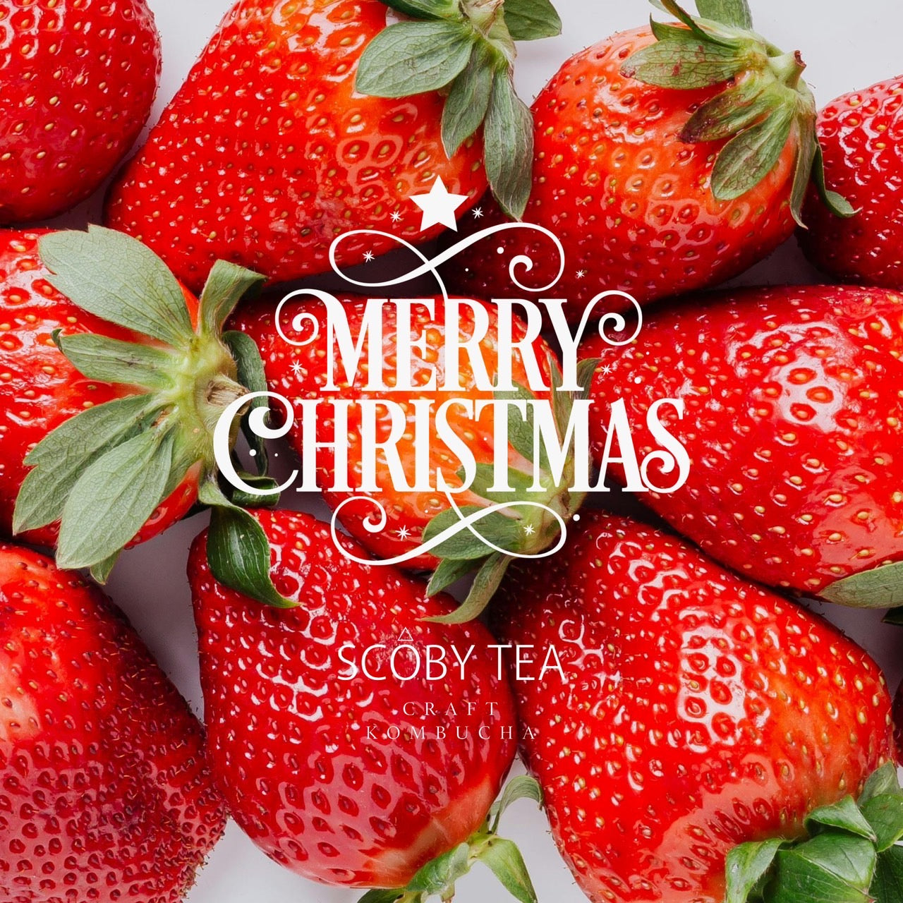 ★クリスマス期間限定★Fantastic Berry - 750ml