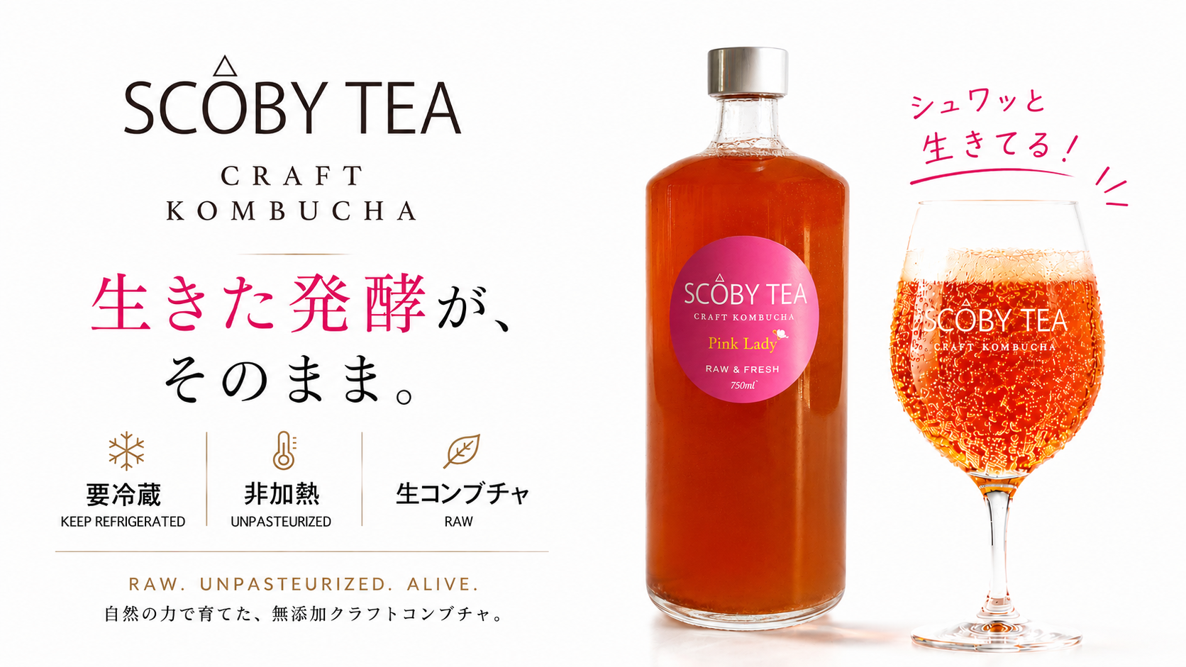 生コンブチャ専門店 | SCOBY TEA＜スコビーティー＞