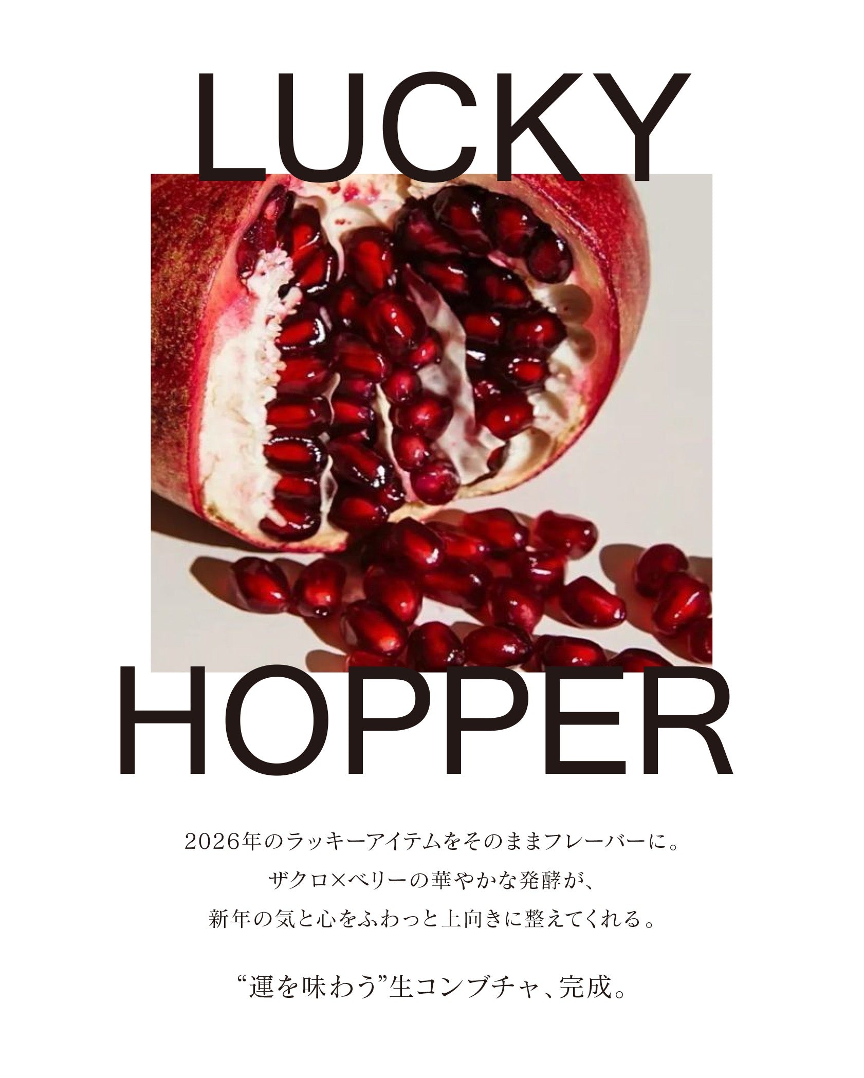 LUCKY HOPPER 720ml
