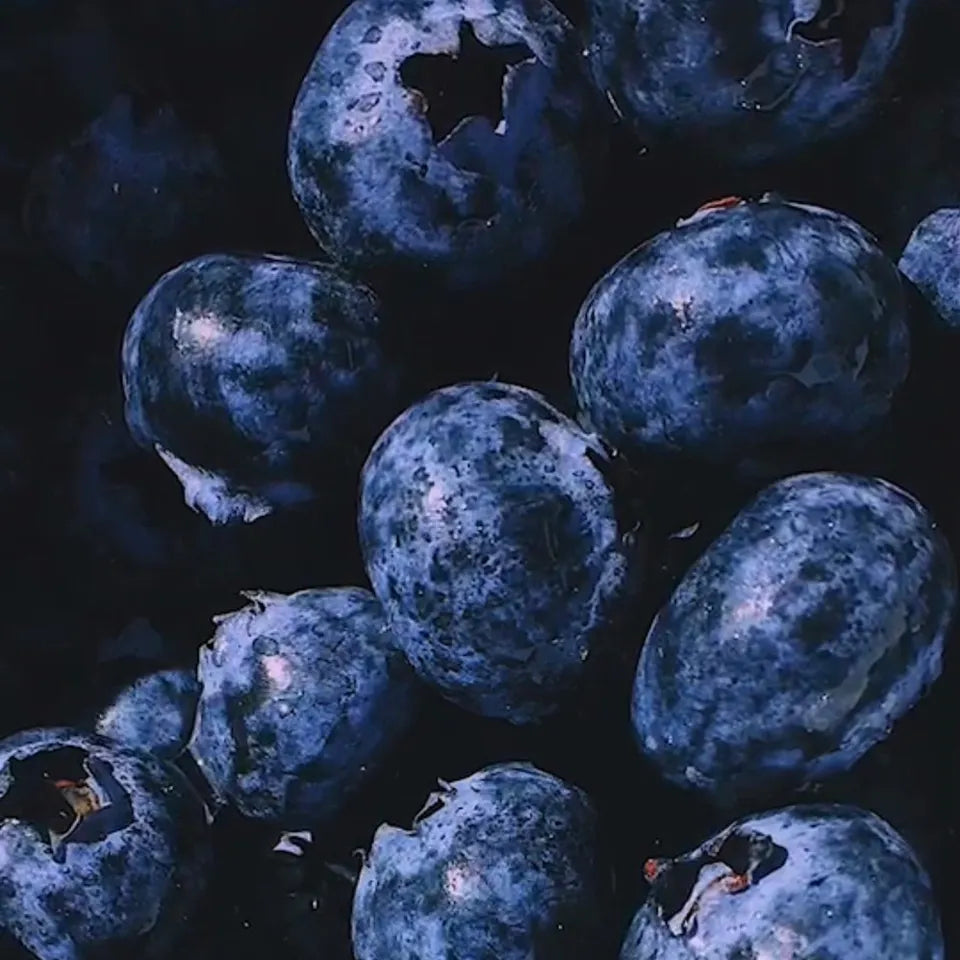 🌙2月19日までの限定販売🌙Black Moon 11:11 -ブラックムーン11:11 - 750ml