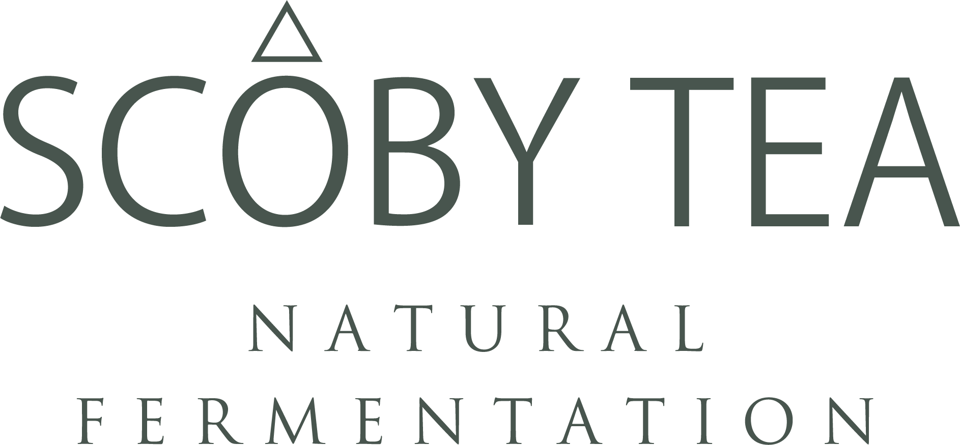 High Vibes -ハイバイブス- 750ml - 生コンブチャ専門店 | SCOBY TEA