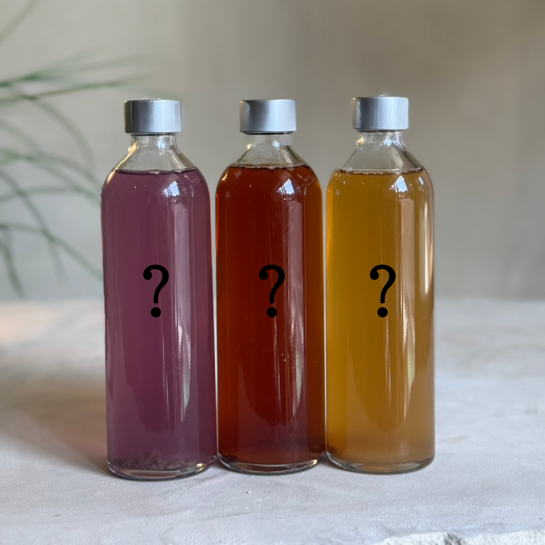 お任せ3本セット - 375ml