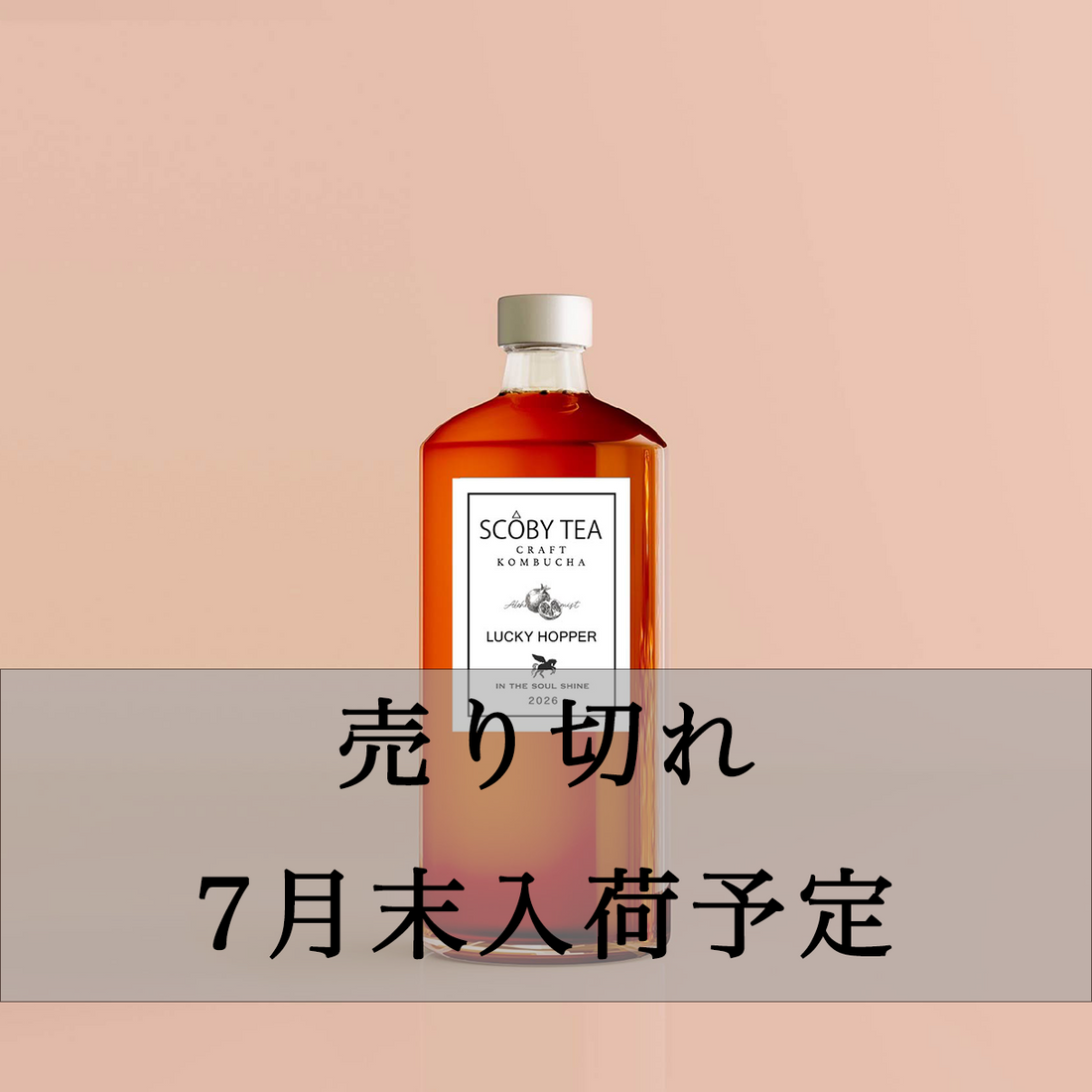 LUCKY HOPPER 720ml