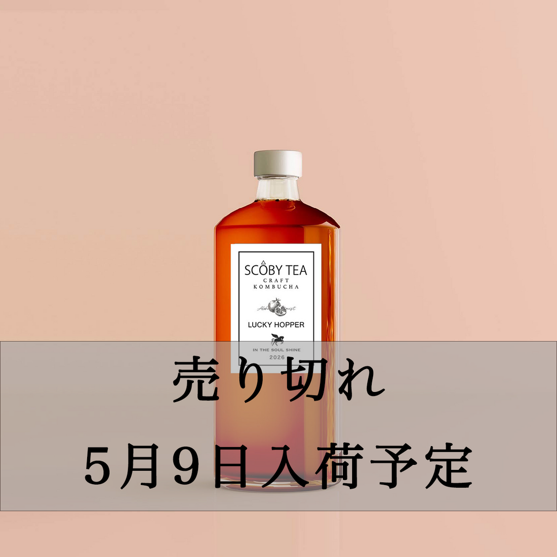 LUCKY HOPPER 720ml