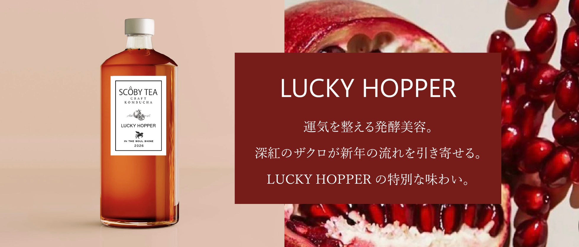 生コンブチャ専門店 | SCOBY TEA＜スコビーティー＞