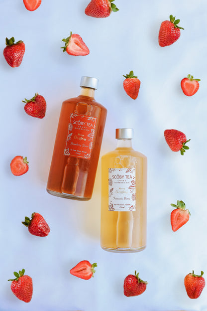 ★クリスマス期間限定★Strawberry Disco &amp; Fantastic Berry 2本セット - 750ml